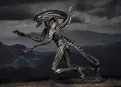 NECA Alien Covenant - Xenomorph Alien Actionfigur -Spielzeug Puppen Geschäft 3010d9ad3dbdbbfbfeb4b5cfbea0e6209e0c6f43693fb7286b3cc5c04a8ed201