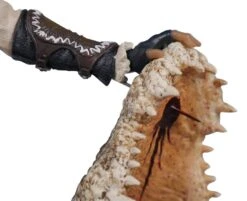 Ubisoft Assassins Creed Liberation- Aveline 27cm Figur -Spielzeug Puppen Geschäft 3599f6d65bc7363eed6b87c48215820492bff4485db15868cf3d345cdabf86f4