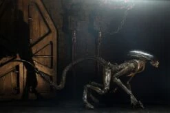 NECA Alien 3 - Dog Alien Actionfigur -Spielzeug Puppen Geschäft 515978 1