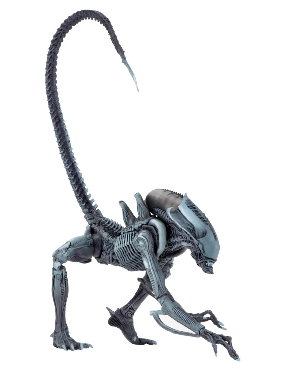 NECA Alien Vs Predator (Arcade) - Arachnoid Actionfigur 4 NECA Alien Vs Predator (Arcade) - Arachnoid Actionfigur – Bild 2