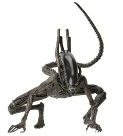 NECA Alien Covenant - Xenomorph Alien Actionfigur -Spielzeug Puppen Geschäft 5cc443c13cb5f7e568bac9c8f500d6a826f4dfe691be3fa82c9034cc350dbccd