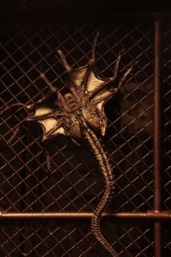 NECA Alien 3 Figuren - Accessory Creature Pack -Spielzeug Puppen Geschäft 650519fd1d02afade92b6220134166a09d18ce077c8a3c76c37d959917e68d3f