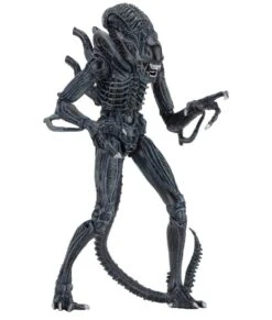 NECA Aliens (1986) - Blue Ultimate Alien Warrior Actionfigur 11 NECA Aliens (1986) - Blue Ultimate Alien Warrior Actionfigur -Spielzeug Puppen Geschäft 6b41a5b0bfb6c6e2bbd3b880e26339a4ff508cb3d9ceca140982c4e431ff372b