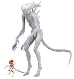 NECA Alien Covenant - Neomorph Alien Actionfigur -Spielzeug Puppen Geschäft 77af786f36246b57a7461480d9859fec9cb1d9212122a8a07bd7b875f45214bb