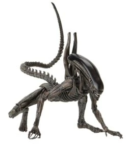 NECA Alien Covenant - Xenomorph Alien Actionfigur -Spielzeug Puppen Geschäft 78383975e136ddc68107137173ba2fdaf95027b36699aeefebb7170ff3e1721d