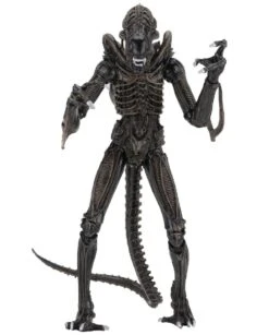 NECA Aliens (1986) - Brown Ultimate Alien Warrior Actionfigur -Spielzeug Puppen Geschäft 81cd14e88d40fb183330b7477c825d47d28fe19f73cb7337356fe1407324859b