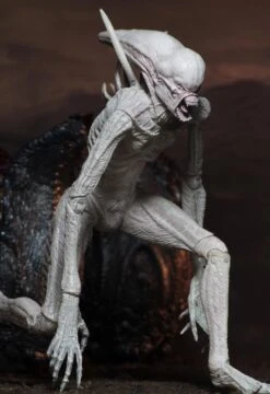 NECA Alien Covenant - Neomorph Alien Actionfigur -Spielzeug Puppen Geschäft 82eba2737dcc9389678b3c66e5e7cd795af67d519d4e1c5f2dcf3958cf8afe11