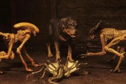 NECA Alien 3 Figuren - Accessory Creature Pack -Spielzeug Puppen Geschäft a1f642c7b0b2c68b19a38fc1e26214233c46e02c91f776aac2cb4138d4a113e8