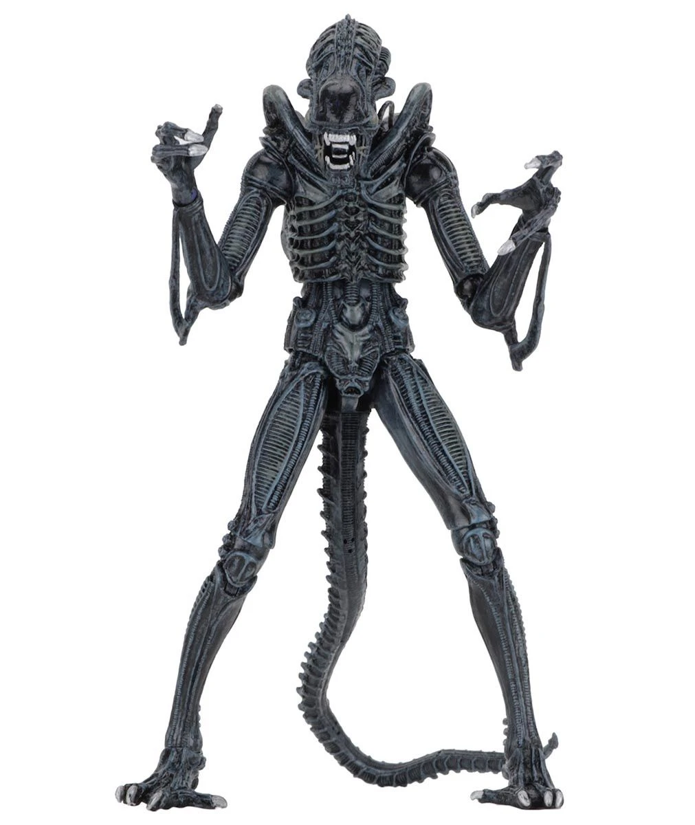 NECA Aliens (1986) - Blue Ultimate Alien Warrior Actionfigur 4 NECA Aliens (1986) - Blue Ultimate Alien Warrior Actionfigur – Bild 2