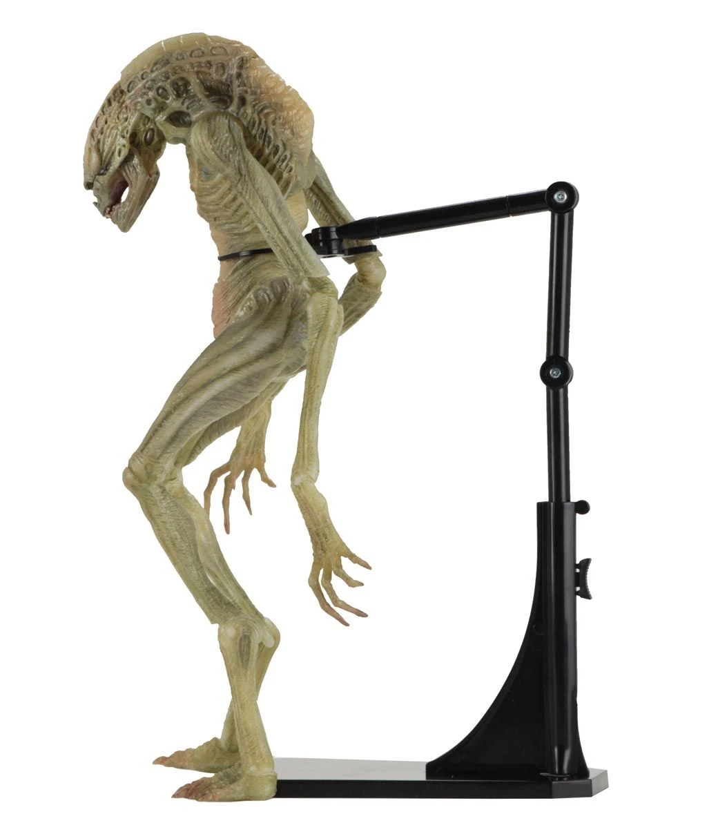 NECA Aliens - Deluxe Alien Resurrection Newborn Figur 4 NECA Aliens - Deluxe Alien Resurrection Newborn Figur – Bild 2