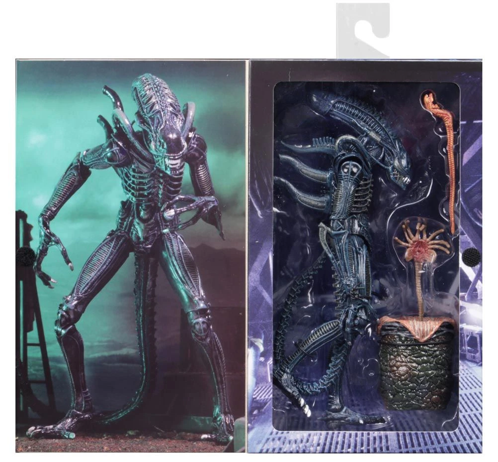 NECA Aliens (1986) - Blue Ultimate Alien Warrior Actionfigur 9 NECA Aliens (1986) - Blue Ultimate Alien Warrior Actionfigur – Bild 7
