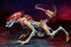 NECA Kenner Tribute Panther Alien - Action Figur -Spielzeug Puppen Geschäft panther7 scaled 1